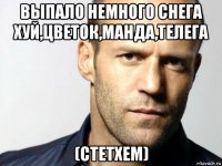 выпало немного снега хуй,цветок,манда,телега (стетхем)