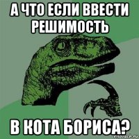 а что если ввести решимость в кота бориса?