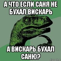 а что если саня не бухал вискарь а вискарь бухал саню?