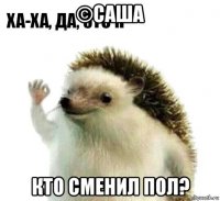 ©саша кто сменил пол?