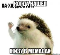 когда нашел жизу в мемасах