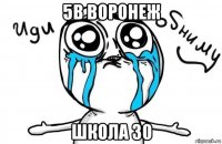 5в воронеж школа 30