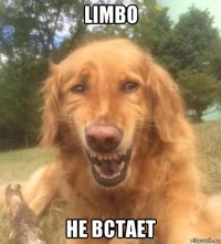 limbo не встает