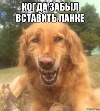 когда забыл вставить ланке 