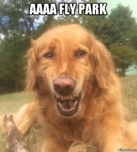 аааа fly park 