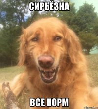 сирьёзна все норм