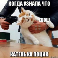 когда узнала что катенька поцик