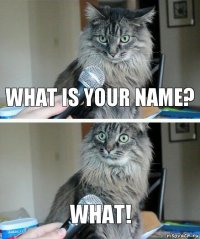 What is your name? What!