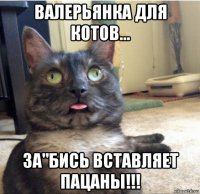 валерьянка для котов... за"бись вставляет пацаны!!!