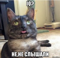 iq? не,не слышали