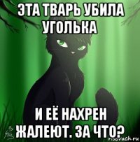 эта тварь убила уголька и её нахрен жалеют. за что?