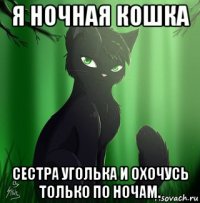 я ночная кошка сестра уголька и охочусь только по ночам.