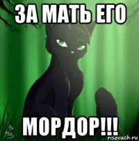 за мать его мордор!!!