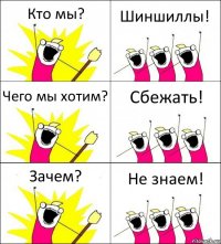 Кто мы? Шиншиллы! Чего мы хотим? Сбежать! Зачем? Не знаем!