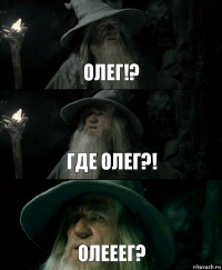 Олег!? Где Олег?! Олееег?