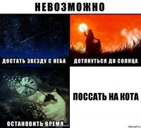 Поссать на кота