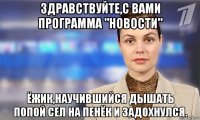 здравствуйте,с вами программа "новости" ёжик,научившийся дышать попой сел на пенёк и задохнулся.