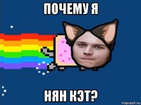 почему я нян кэт?