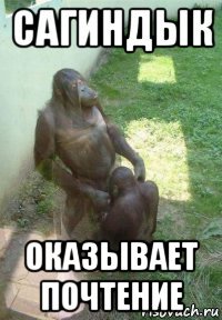 сагиндык оказывает почтение