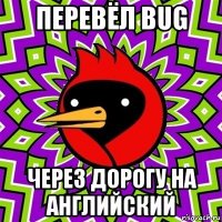 перевёл bug через дорогу на английский