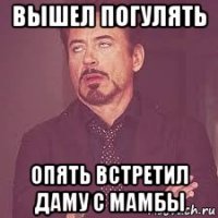 вышел погулять опять встретил даму с мамбы