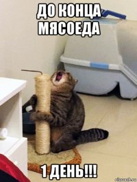 до конца мясоеда 1 день!!!