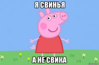 я свинья а не свика