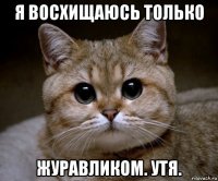 я восхищаюсь только журавликом. утя.