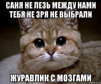 саня не лезь между нами тебя не зря не выбрали журавлик с мозгами