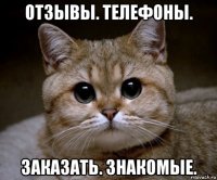 отзывы. телефоны. заказать. знакомые.