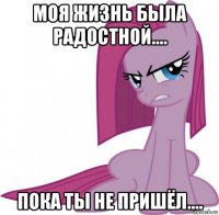 моя жизнь была радостной.... пока ты не пришёл....