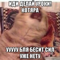 иди делай уроки! котяра ууууу бля бесит сил уже нету
