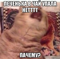 печенька в чай упала нетттт пачему?