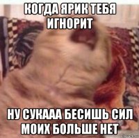 когда ярик тебя игнорит ну сукааа бесишь сил моих больше нет