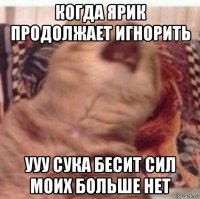 когда ярик продолжает игнорить ууу сука бесит сил моих больше нет