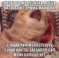 когда ты не пузатая, а тебя называют хрюнь манюнь. сукааа рифмоплетт уууу сукаа как ты заебаллл сил моих больше нет