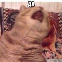 да 