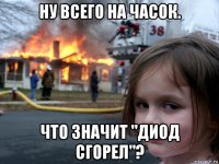 ну всего на часок. что значит "диод сгорел"?