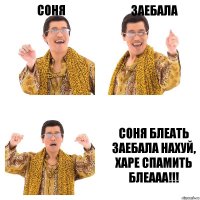 Соня Заебала Соня блеать заебала нахуй, харе спамить блеааа!!!