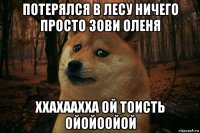 потерялся в лесу ничего просто зови оленя ххахаахха ой тоисть ойойоойой