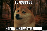 то чувство когда физру отменили