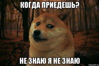 когда приедешь? не знаю я не знаю