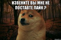 извените вы мне не поставте лайк ? 