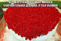 вера, ты очень красивая, милая и очаровательная девушка. я тебя обожаю 