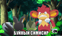  буйный симисир