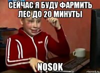 сейчас я буду фармить лес до 20 минуты nosok