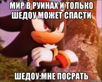 мир в руинах и только шедоу может спасти шедоу:мне посрать