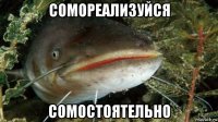 сомореализуйся сомостоятельно
