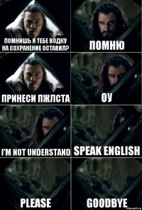 помнишь я тебе водку на сохранение оставил? помню принеси пжлста оу i'm not understand speak english please goodbye