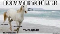 поскакали к твоей маме 